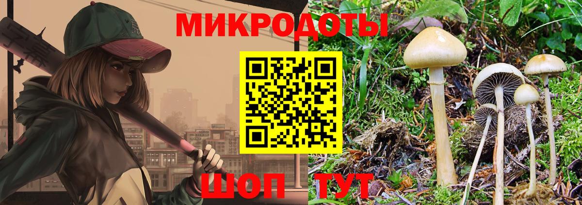 Галлюциногенные грибы Psilocybe Зеленокумск
